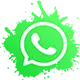 whatsappicon